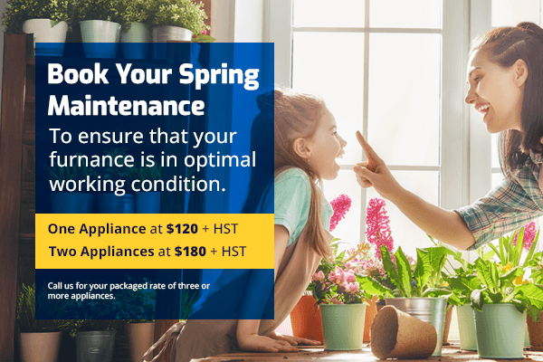 Mobile Spring Banner